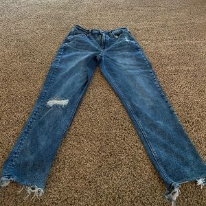 American Eagle Mom Jean
